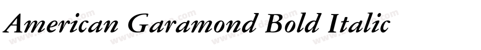 American Garamond Bold Italic BT字体转换